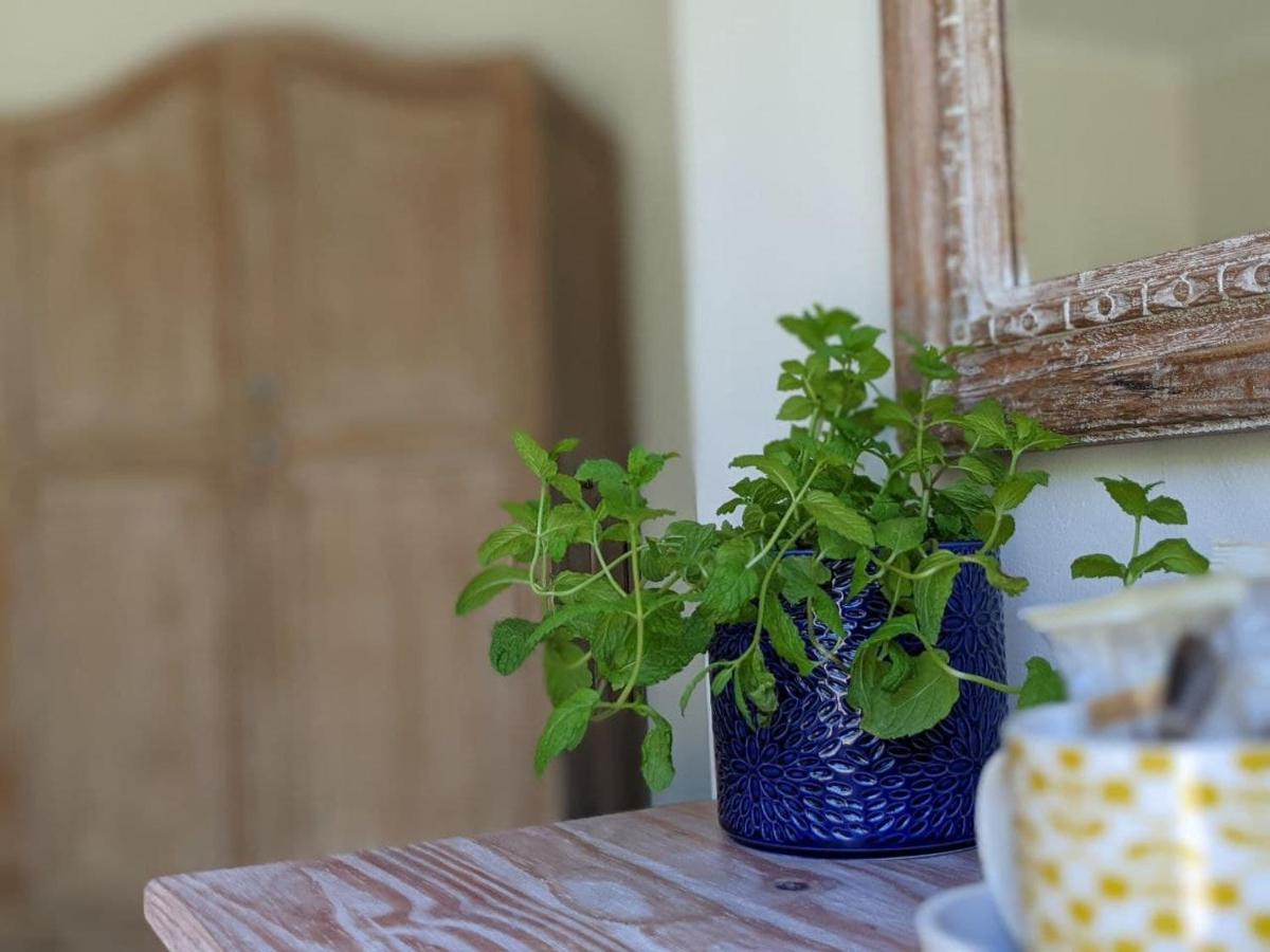 Villa Cape Garden Route Уилдернесс Экстерьер фото