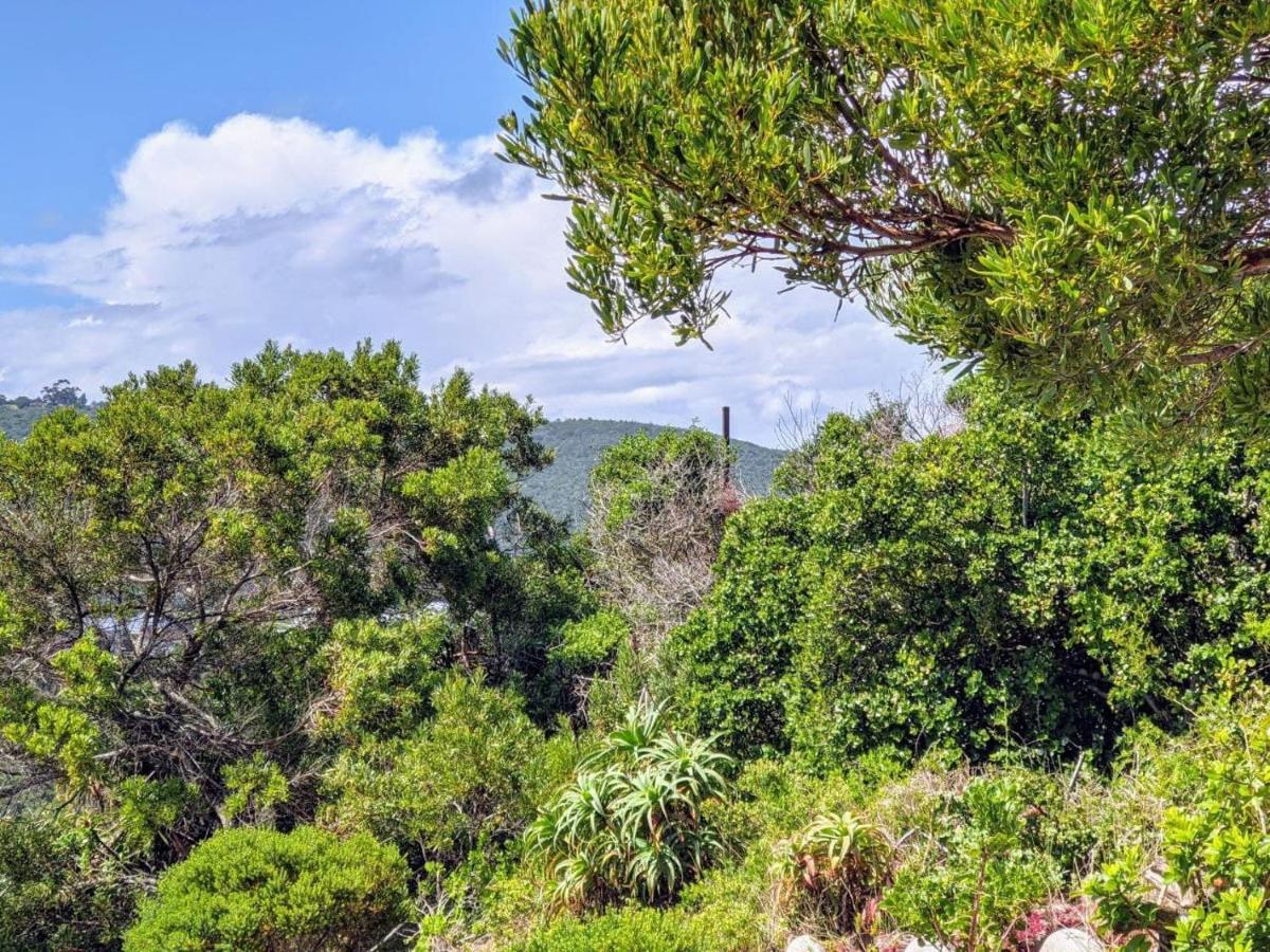 Villa Cape Garden Route Уилдернесс Экстерьер фото
