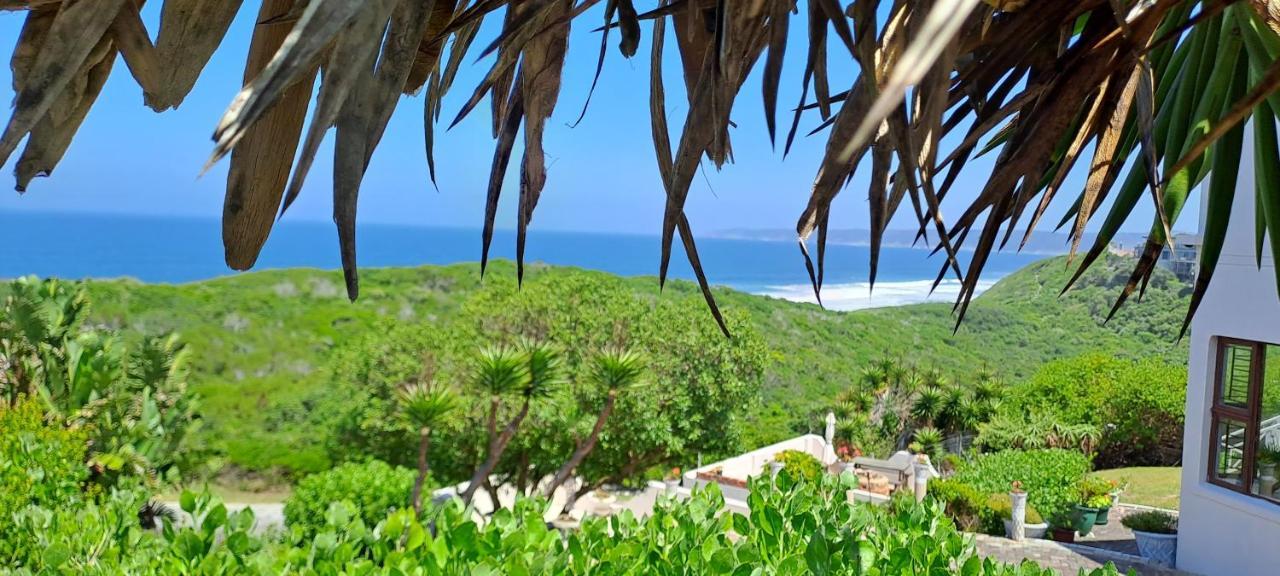 Villa Cape Garden Route Уилдернесс Экстерьер фото