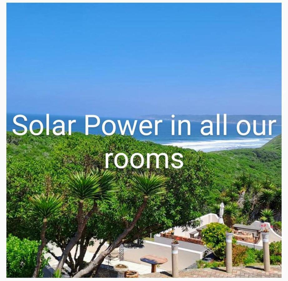 Villa Cape Garden Route Уилдернесс Экстерьер фото